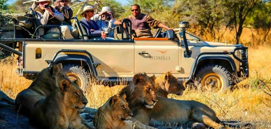 DaysMasaiMaraWildlifesafari